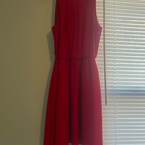 Lush Vibrant Red Mini Dress